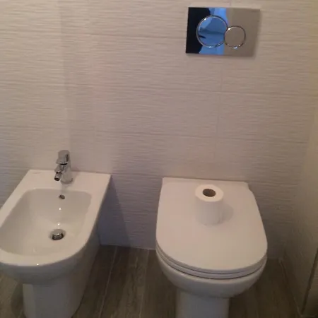 Real Fly * 볼로냐